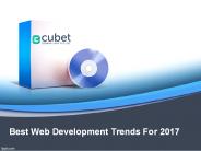 Best Web Development Trends For 2017 (1)