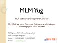 MLM Yug - MLM Software Development PowerPoint PPT Presentation