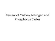Review of Carbon, Nitrogen and Phosphorus Cycles