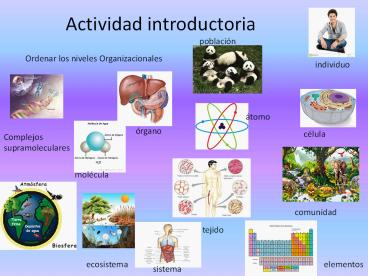 Actividad%20introductoria