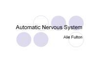 Automatic Nervous System