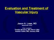 Evaluation and Treatment of Vascular Injury