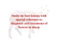 FOOT LESIONS IN SHEEP PowerPoint PPT Presentation