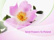 Send Flowers To Poland