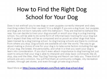 How to Find the Right Dog School for Your Dog