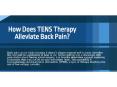 How Does TENS Therapy Alleviate Back Pain? PowerPoint PPT Presentation