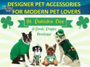 DESIGNER PET ACCESSORIES FOR MODERN PET LOVERS