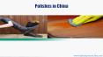 Polishes Market in China PowerPoint PPT Presentation