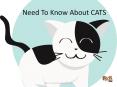 Need To Know About CATS PowerPoint PPT Presentation