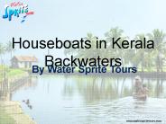 Houseboats in kerala backwaters