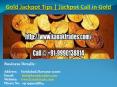 Gold Jackpot Tips | Jackpot Call in Gold PowerPoint PPT Presentation