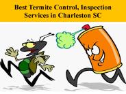Best Termite Control, Inspection Services in Charleston SC