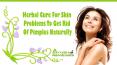 Herbal Cure For Skin Problems To Get Rid Of Pimples Naturally