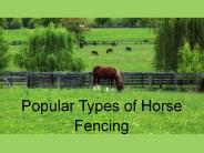 Popular Types of Horse Fencing