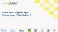 Native App vs Hybrid App Development: What To Pick?