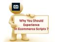 Why You Should Experience ECommerce Scripts? PowerPoint PPT Presentation