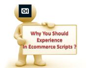 Why You Should Experience ECommerce Scripts?