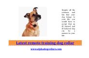 Latest remote training dog collar