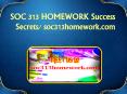 SOC 313 HOMEWORK Success Secrets/ soc313homework.com PowerPoint PPT Presentation