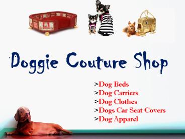 Car Seat Covers for Dogs | Doggie Couture Shop