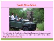 Best South Africa Safari