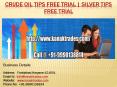 Crude Oil Tips Free Trial | Silver Tips Free Trial PowerPoint PPT Presentation