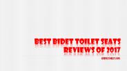 Best Bidet Toilet Seats Reviews of 2017