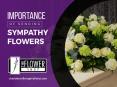 Sympathy Arrangements - Flower Shops in Charlottesville VA PowerPoint PPT Presentation