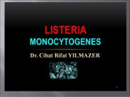 LİSTERİA (1)