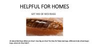 Heat Treatment for Bed Bugs