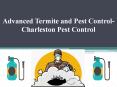Advanced Termite and Pest Control- Charleston Pest Control PowerPoint PPT Presentation