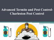 Advanced Termite and Pest Control- Charleston Pest Control