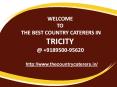 Best Catering In Chandigarh | +91 89500-95620 | The Country Caterers PowerPoint PPT Presentation