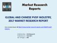 PVDF Industry Global & Chinese (Production, Value, Supply or Demand) 2022 Forecasts PowerPoint PPT Presentation