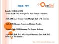 bulk sms - bulk sms in india PowerPoint PPT Presentation