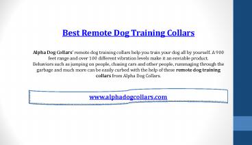 Best remote dog training collars