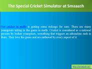 The Special Cricket Simulator at Smaaash (1)