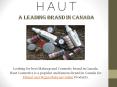 Haut Cosmetics Custom Blend Makeup Online PowerPoint PPT Presentation