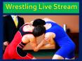 Wrestling live stream PowerPoint PPT Presentation