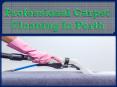 Professional Carpet Cleaning In Perth PowerPoint PPT Presentation