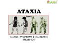 Ataxia : causes, symptoms, diagnosis and treatment PowerPoint PPT Presentation