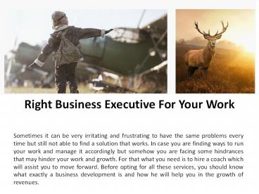 Right Business Executive For Your Work