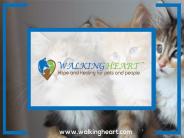 Animal Psychic