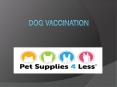 Dog Supplements PowerPoint PPT Presentation