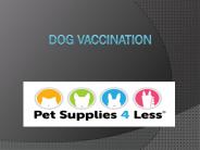 Dog Supplements