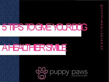 5 Tips To Give Your Dog A Healthier Smile