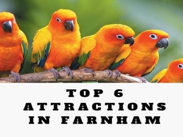 Top 6 attractions in Farnham