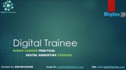 SEO Digital Marketing