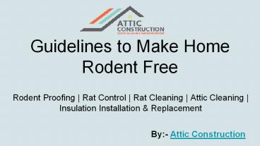 Guidelines to Make Home Rodent Free- Attic Construction Inc.