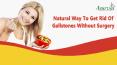 Natural Way To Get Rid Of Gallstones Without Surgery PowerPoint PPT Presentation